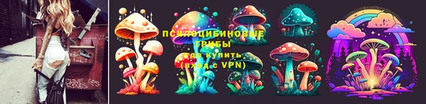 твердый Сатка